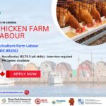 Special hiring in NovaScotia - Chicken Farm