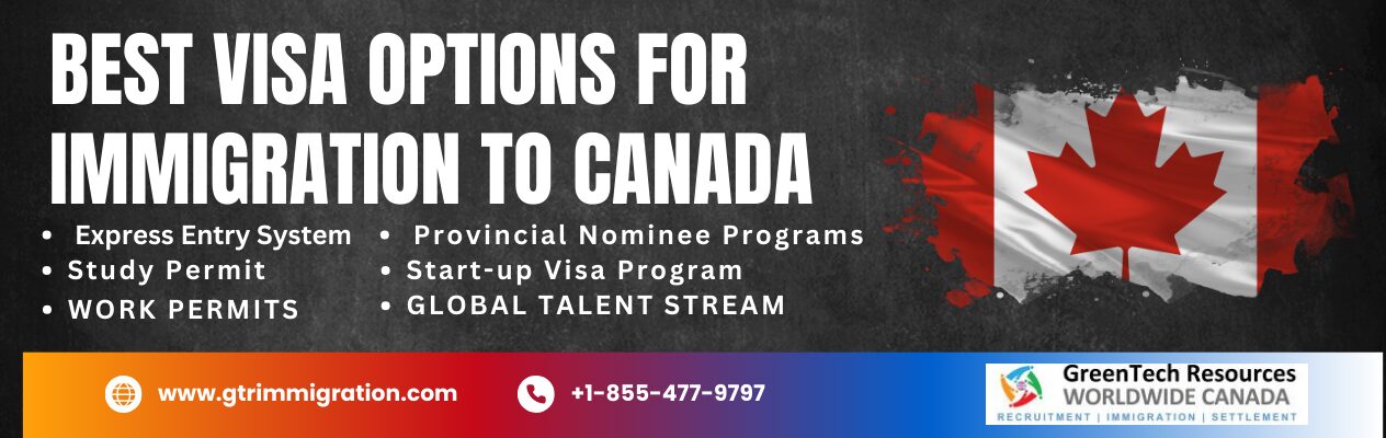 Visa options