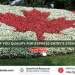 Find Out If You Qualify for Express Entry’s STEM Pathway